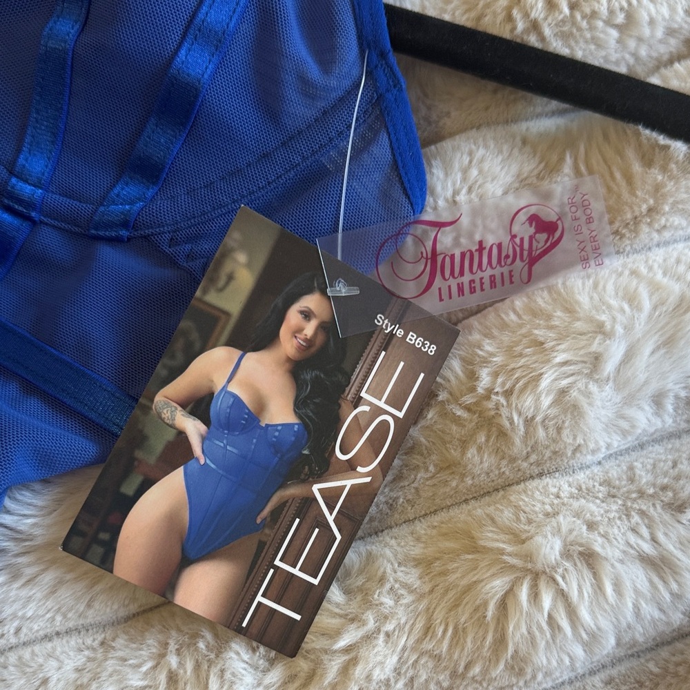 Elegant Blue Sheer Chemise - Picture 2 of 4